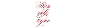Pian delle Vigne